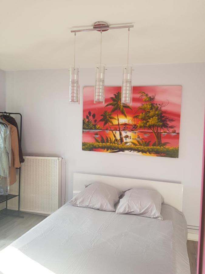 Chambres A Louer Dans Appartement Balcon - Wifi - Parking Gratuit Nevers Ngoại thất bức ảnh