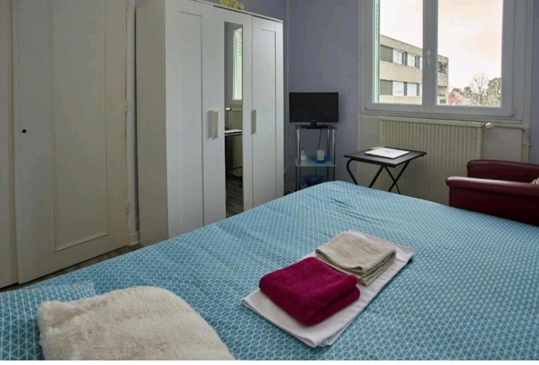 Chambres A Louer Dans Appartement Balcon - Wifi - Parking Gratuit Nevers Ngoại thất bức ảnh